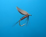 Pheasant Tail Wet.jpg